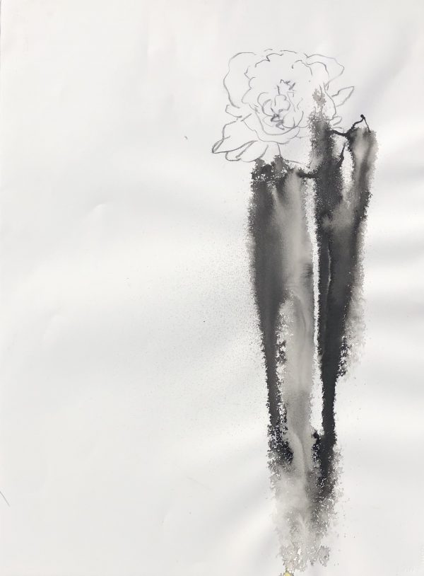Peony One: retrieve my lost heart from all those roots